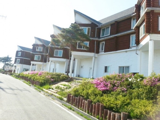 <span class='galleria_span'>로그비치 전경</span><br />