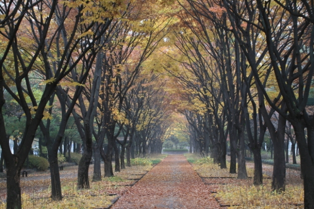 <span class='galleria_span'>주변 볼거리</span><br />