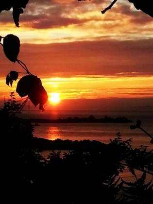 <span class='galleria_span'>주변 볼거리</span><br />